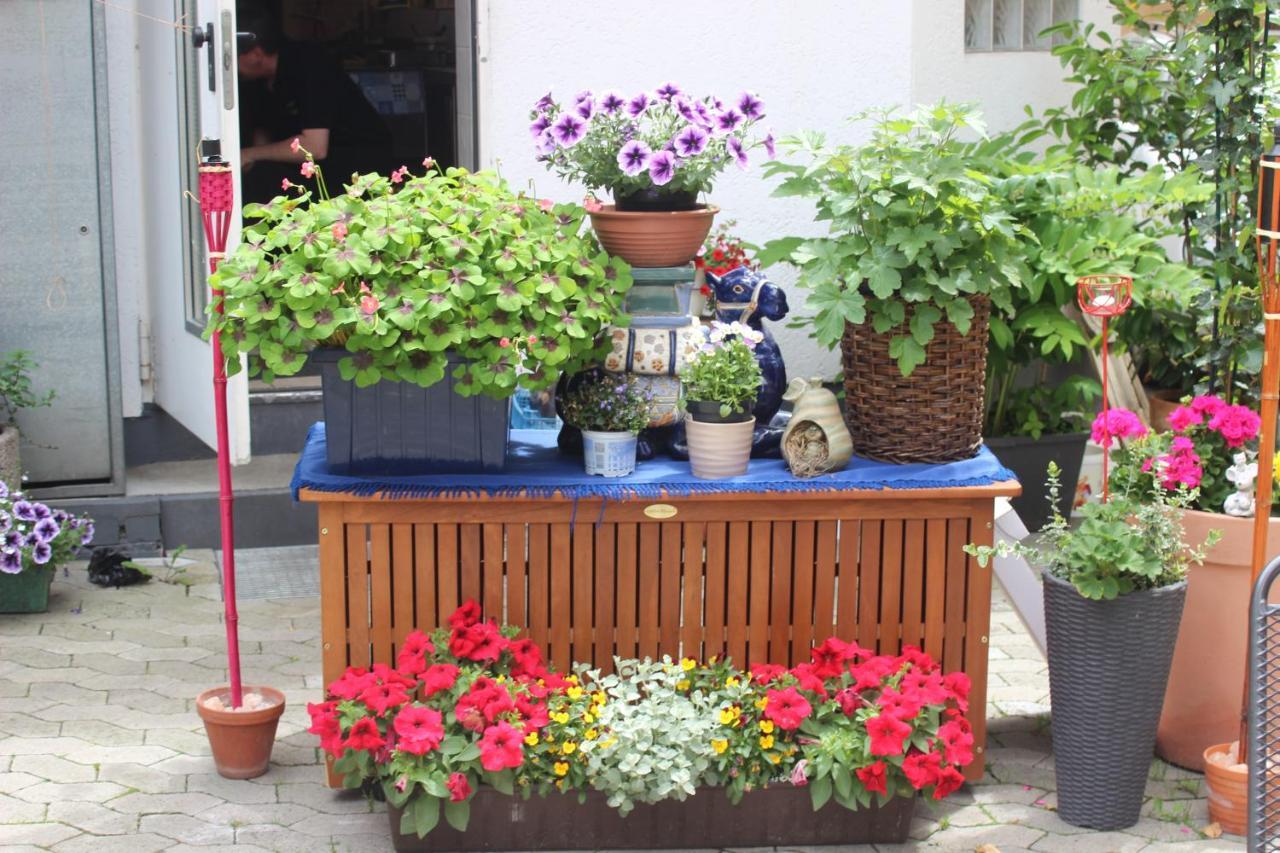 Restaurant / Pension Mainzer Tor Alsfeld Exteriör bild